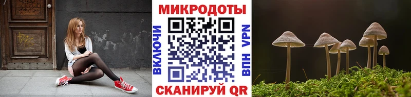 как найти   Балтийск  Галлюциногенные грибы Magic Shrooms 