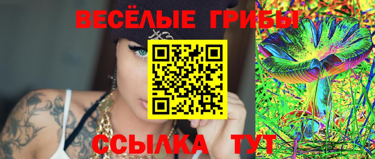 Балтийск  Псилоцибиновые грибы GOLDEN TEACHER  Вход с VPN 