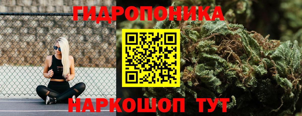 Каннабис Bruce Banner  Канабис LSD WEED  Бошки Шишки ГИДРОПОН  Балтийск  Вход с VPN 